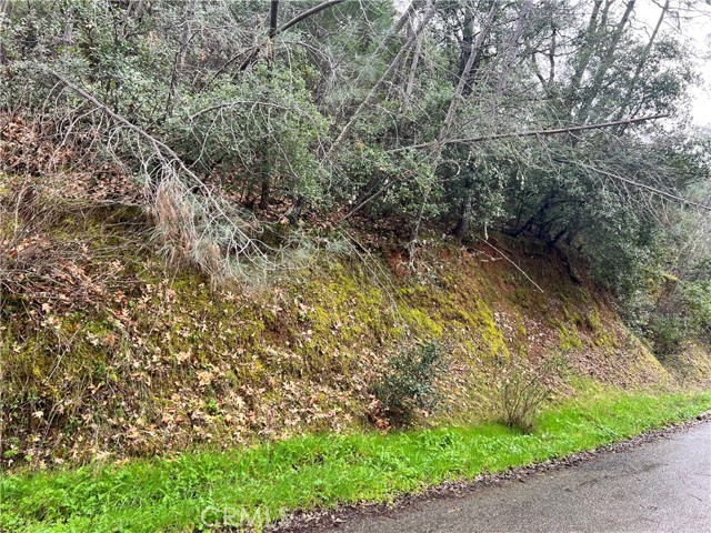 7022 Black Oak Street, Nice