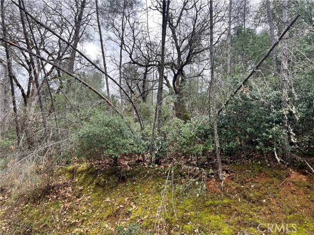 7022 Black Oak Street, Nice