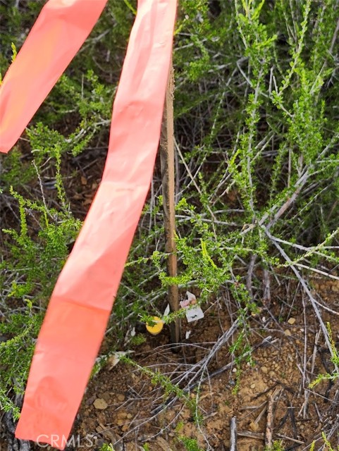 10480 Sky High Ridge Road, Lower Lake