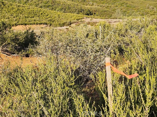 10480 Sky High Ridge Road, Lower Lake