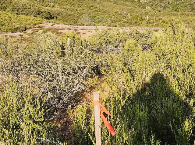 10480 Sky High Ridge Road, Lower Lake