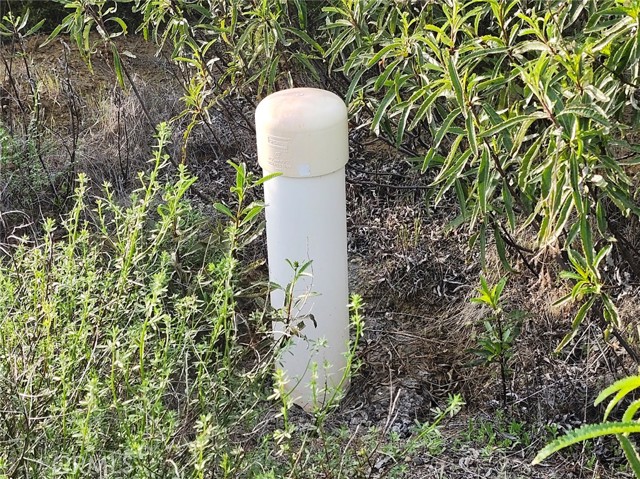 10480 Sky High Ridge Road, Lower Lake