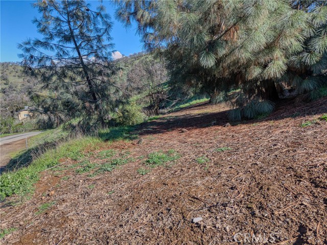 2960 Crestview, Clearlake