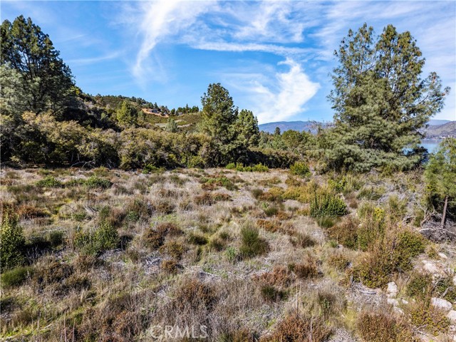 11390 Point Lakeview, Kelseyville