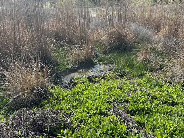 25156 E State Hwy 20, Clearlake Oaks