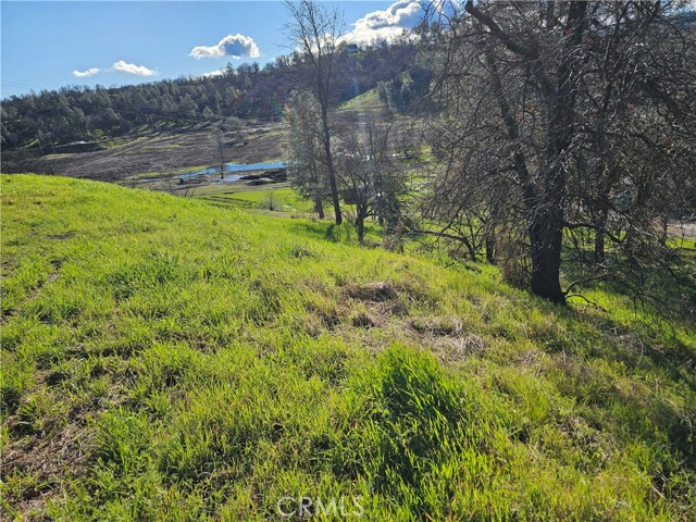 10167 Bell, Lower Lake