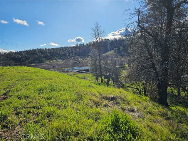 10167 Bell, Lower Lake