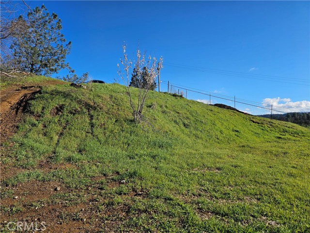 10167 Bell, Lower Lake