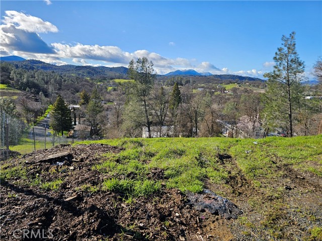 10167 Bell, Lower Lake