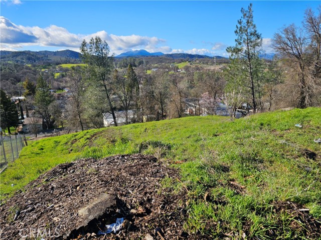 10167 Bell, Lower Lake