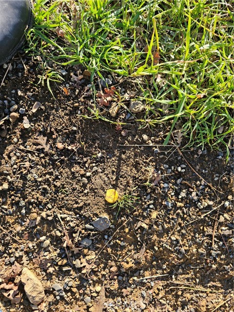 10167 Bell, Lower Lake