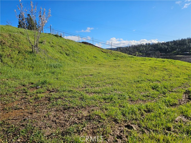 10167 Bell, Lower Lake