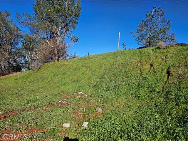 10167 Bell, Lower Lake