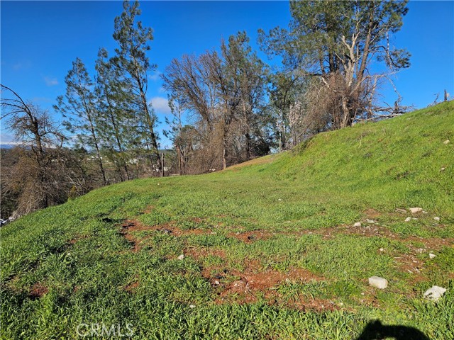 10167 Bell, Lower Lake