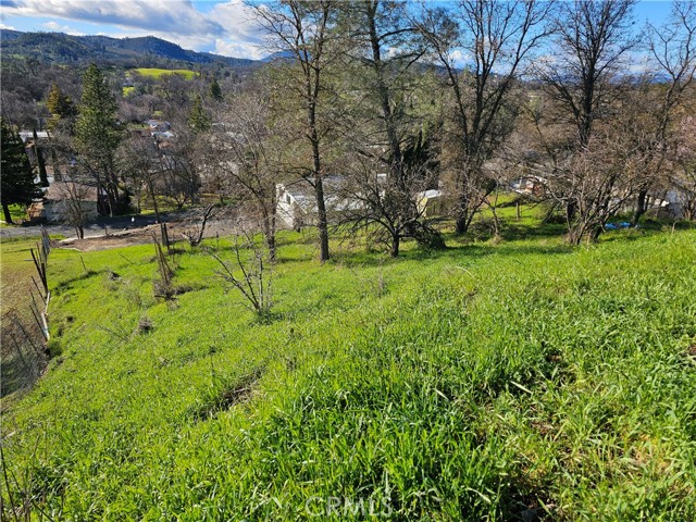 10167 Bell, Lower Lake