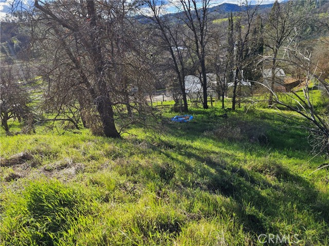 10167 Bell, Lower Lake