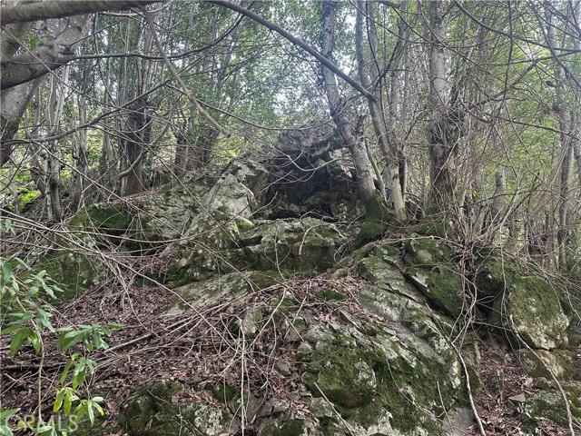 9000 Scotts Valley Road, Upper Lake