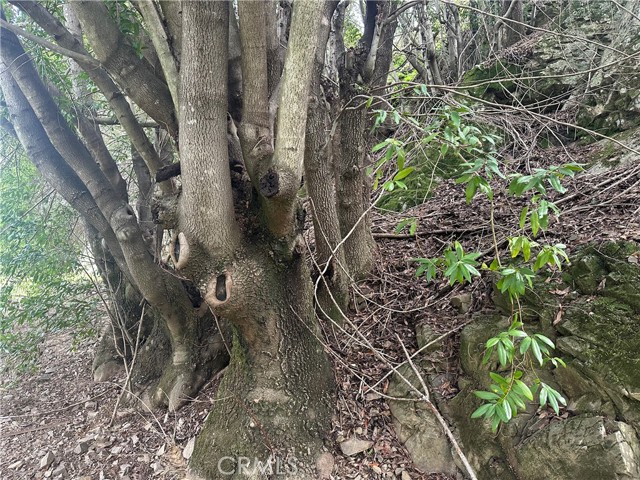 9000 Scotts Valley Road, Upper Lake