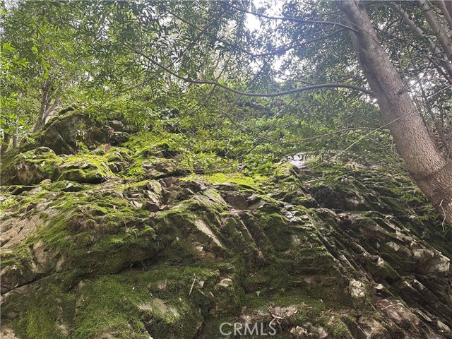 9000 Scotts Valley Road, Upper Lake