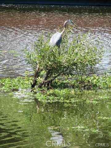 555 Keys Boulevard, Clearlake Oaks
