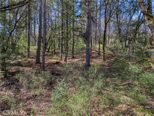 15347 Western Mine, Middletown