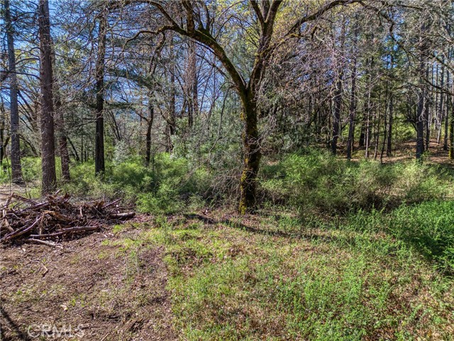 15347 Western Mine, Middletown