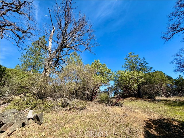 9921 Palmer Court, Cobb