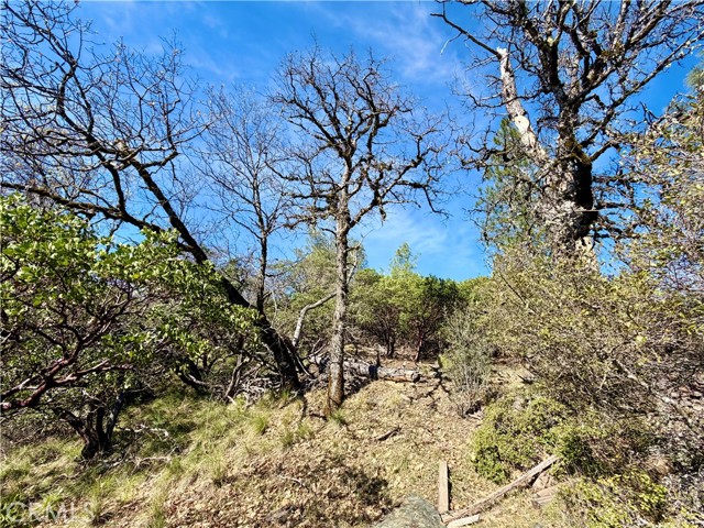 9921 Palmer Court, Cobb