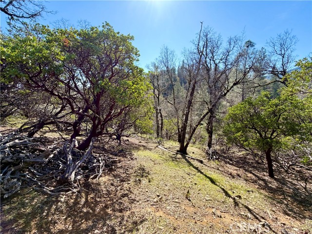 9921 Palmer Court, Cobb