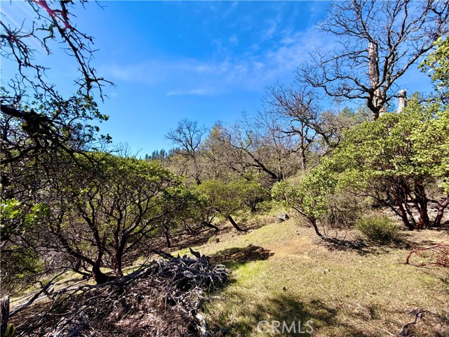 9921 Palmer Court, Cobb