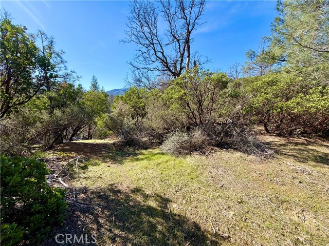 9921 Palmer Court, Cobb