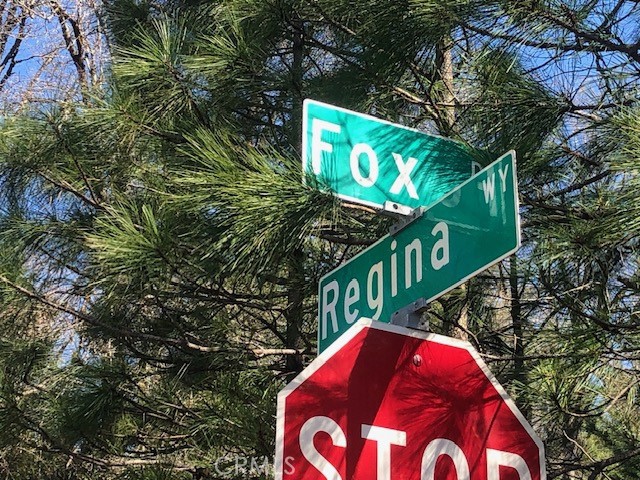 8713 Fox, Cobb