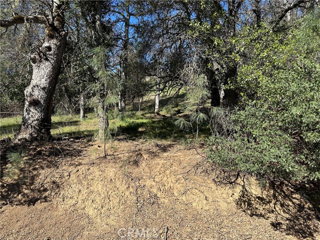 17509 Cache Creek, Clearlake Oaks