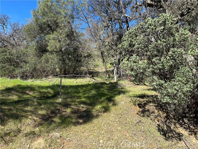 17509 Cache Creek, Clearlake Oaks