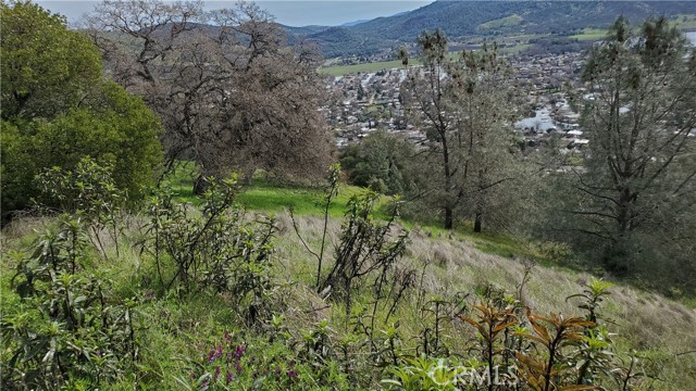 12453 Alta Vista, Clearlake Oaks