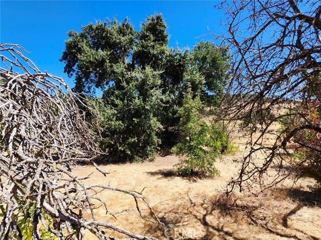 3960 Emile Avenue, Clearlake