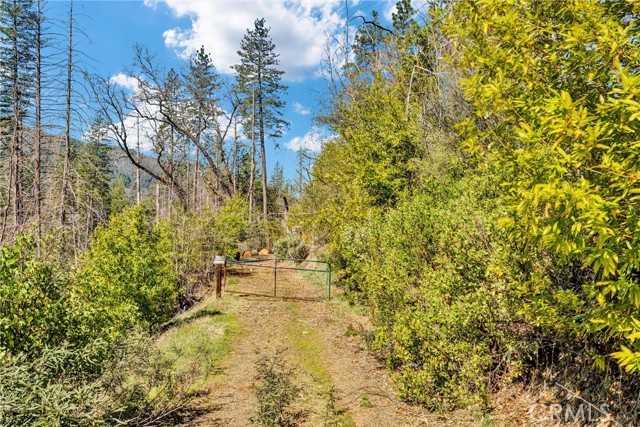 12061 Gifford Springs Road, Cobb