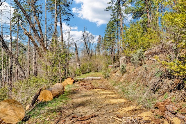 12061 Gifford Springs Road, Cobb