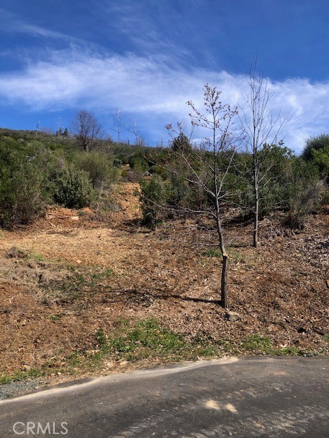 9738 Hoberg Drive, Cobb