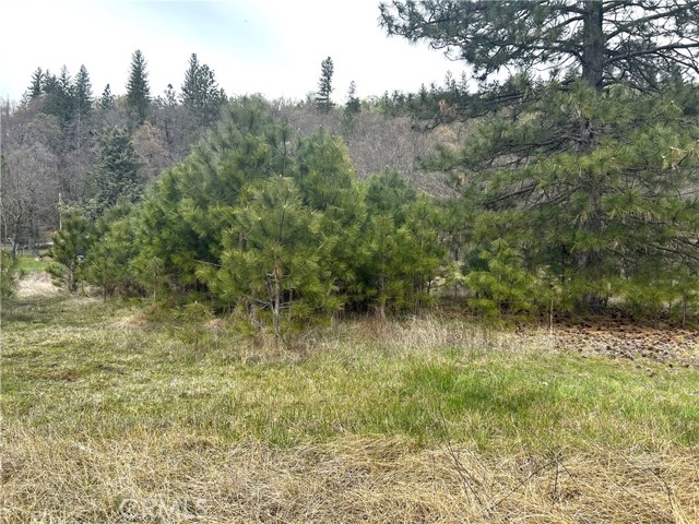 9505 Salmina Road, Kelseyville