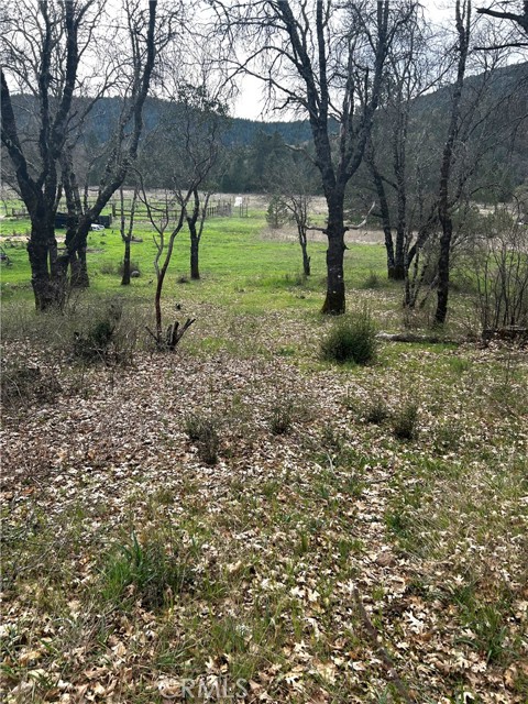 9505 Salmina Road, Kelseyville