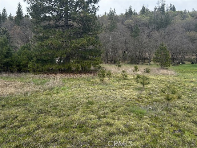 9505 Salmina Road, Kelseyville