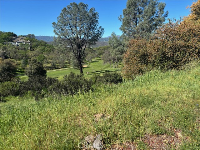 20137 Powder Horn Photo