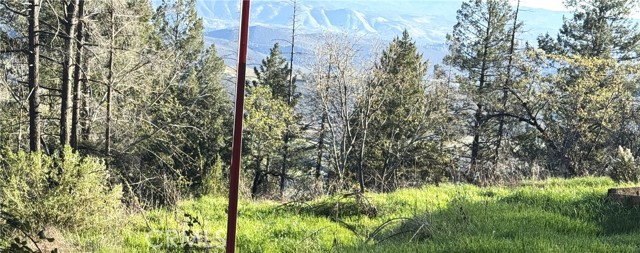 9465 Diamond Dust, Kelseyville