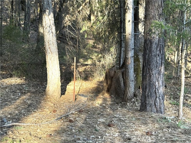 9465 Diamond Dust, Kelseyville