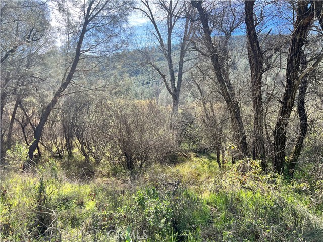 2286 New Long Valley Road, Clearlake Oaks