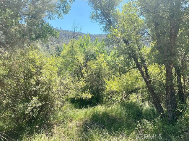 2286 New Long Valley Road, Clearlake Oaks