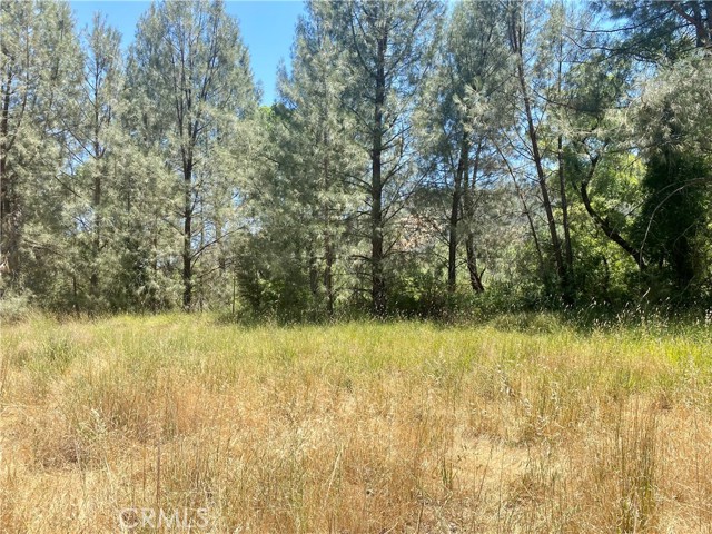 2286 New Long Valley Road, Clearlake Oaks