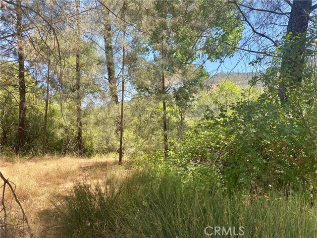 2286 New Long Valley Road, Clearlake Oaks