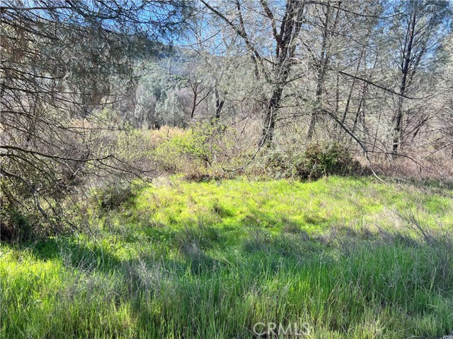 2286 New Long Valley Road, Clearlake Oaks